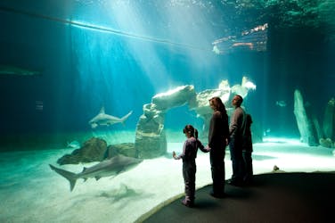 Passe Mare para o aquário de Gênova, Galata Museo del Mare e passeio de barco